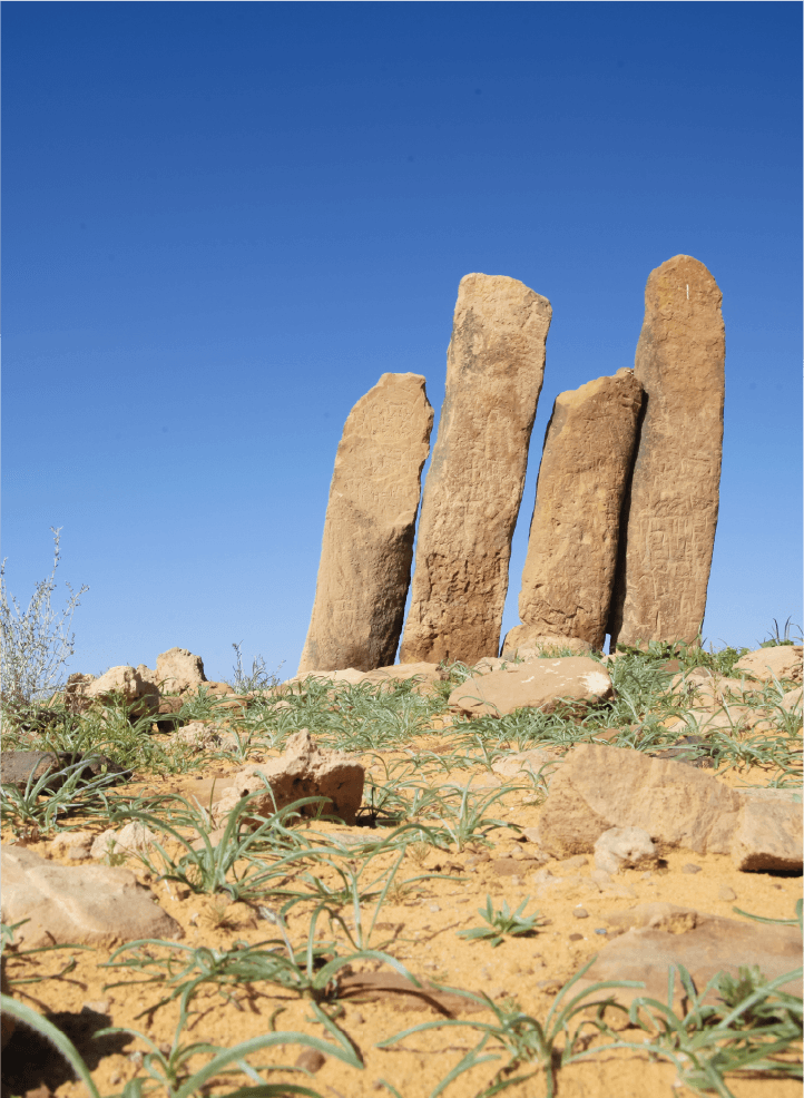 AlJawf Tour and Trip with Tamashee|AlJawf Culture Trip Explore Culture and Family Tours|AlJawf Tour and Trip by Tamashee Explore Culture and Family Tours|Explore AlJawf Culture Trip and Family Tours|AlJawf Trip by Tamashee Explore Family Tours|AlJawf Trip