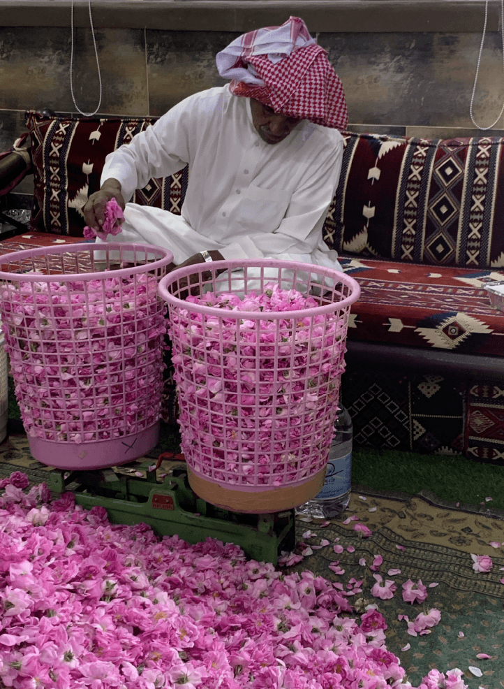Tamashee Taif cultural heritage tour|Taif Tour and Trips Fun at Tamashee|Colorful Taif Rose Festival trip and Tour|Taif Rose Festival season Trip Explore Culture and Heritage|Taif Rose Trip Explore Culture tour|Taif Rose Trip Explore Culture and Heritage|