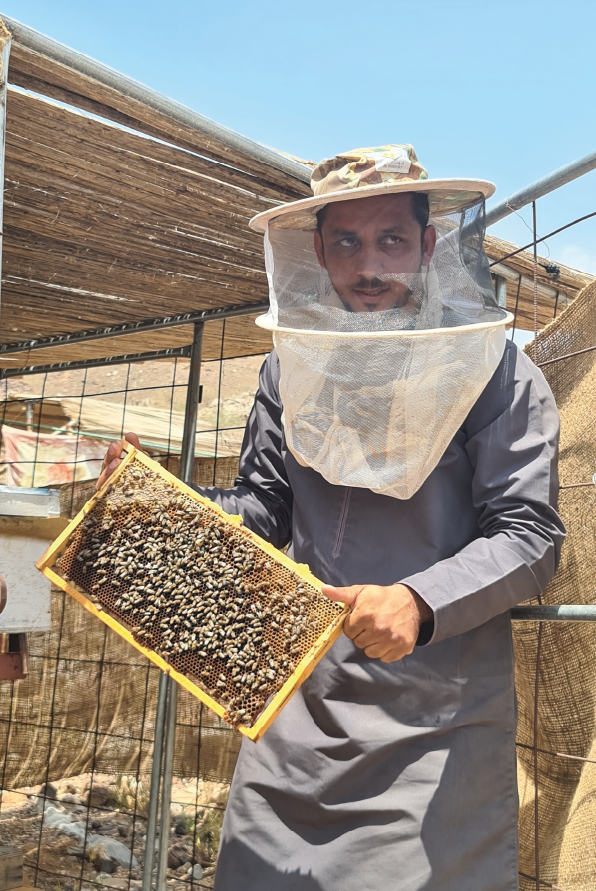Taif city travel tour by Tamashee|Culture Tour and Trip to Oman With Tamashee|Culture Tour and Trip to Oman With Tamashee|Culture Tour and Trip to Oman With Tamashee |Culture Tour and Trip to Oman With Tamashee Shop|Tamashee Culture Tour and Trip to Oman|