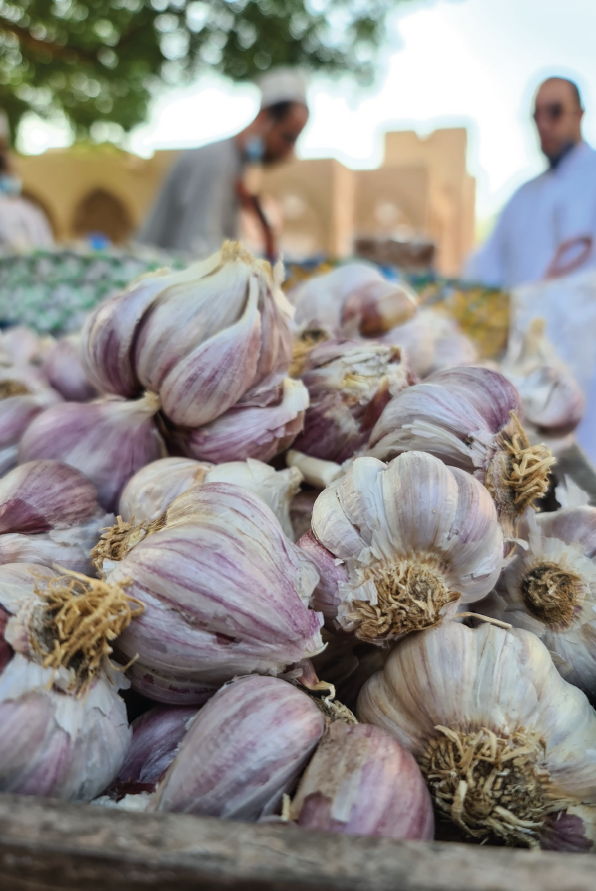 Taif city travel tour by Tamashee|Culture Tour and Trip to Oman With Tamashee|Culture Tour and Trip to Oman With Tamashee|Culture Tour and Trip to Oman With Tamashee |Culture Tour and Trip to Oman With Tamashee Shop|Tamashee Culture Tour and Trip to Oman|