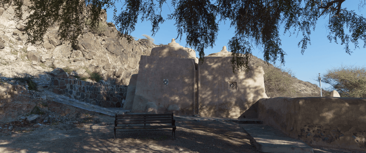 Northern Emirates tour and Trips