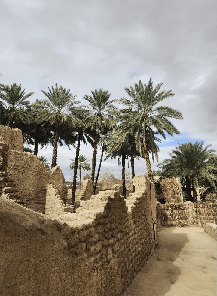 Tabuk KSA Trip |Tamashee Tour & Trip at Tabuk, Kingdom of Saudi Arabia|Culture Tour & Trip at Tabuk, Kingdom of Saudi Arabia|Tour & Trip at Tabuk, Kingdom of Saudi Arabia with Tamashee|Tamashee Tour & Trip at Tabuk, Kingdom of Saudi Arabia|Tabuk, Kingdom 