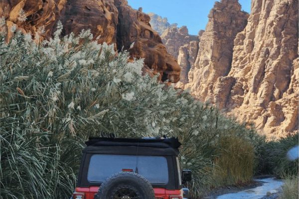 Tabuk