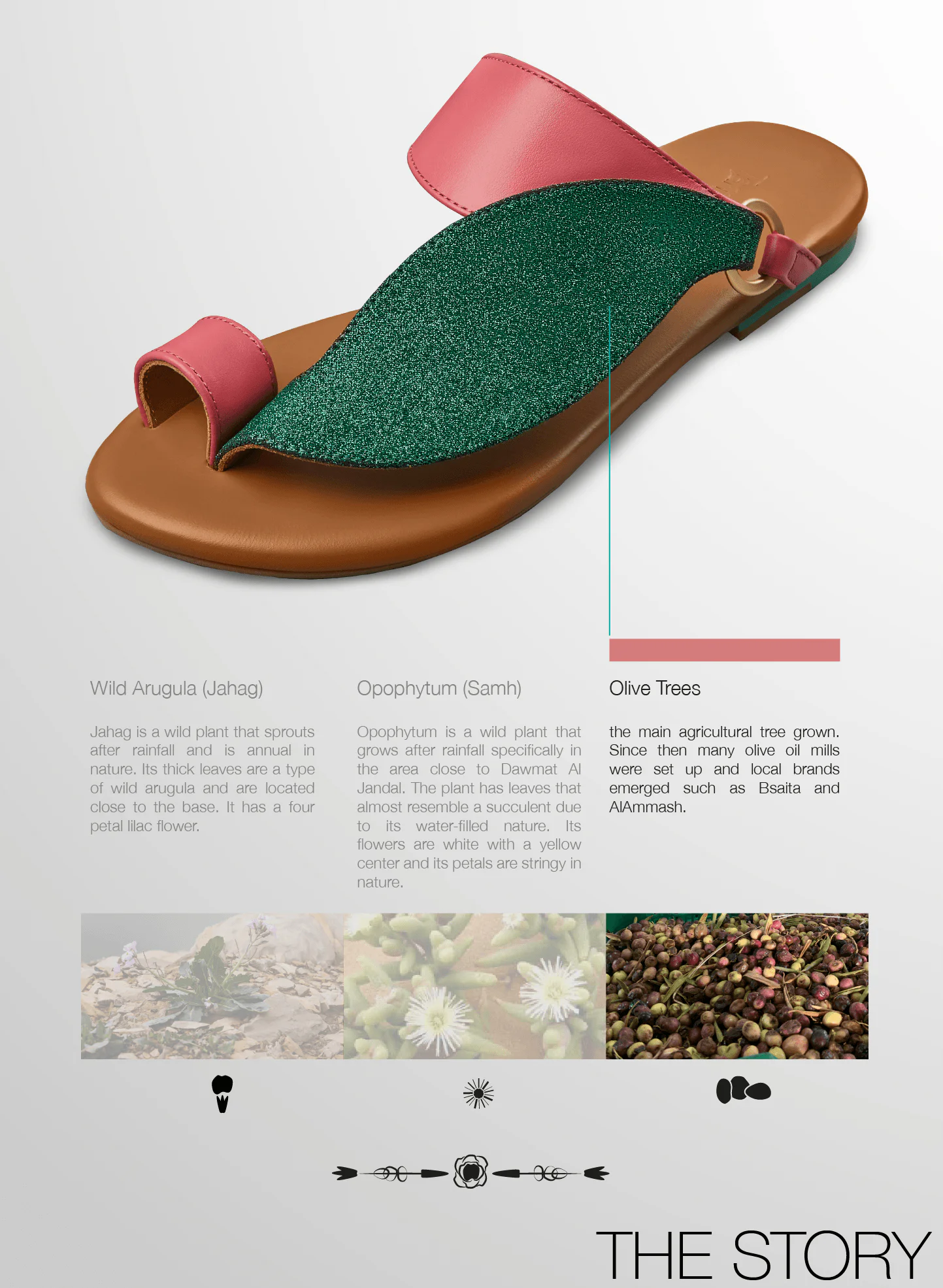 Story of Tamashee Zayton Sandals versatile leather sandals for women